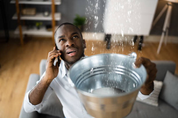 Best Ceiling water damage repair  in Robersonville, NC