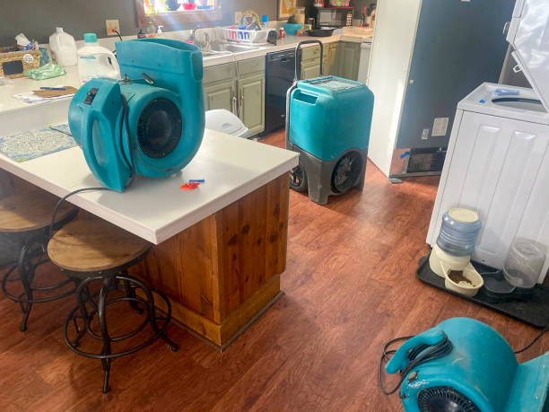  Robersonville, NC Water damage restoration Pros