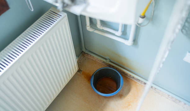 Best Fire Damage Restoration  in Robersonville, NC