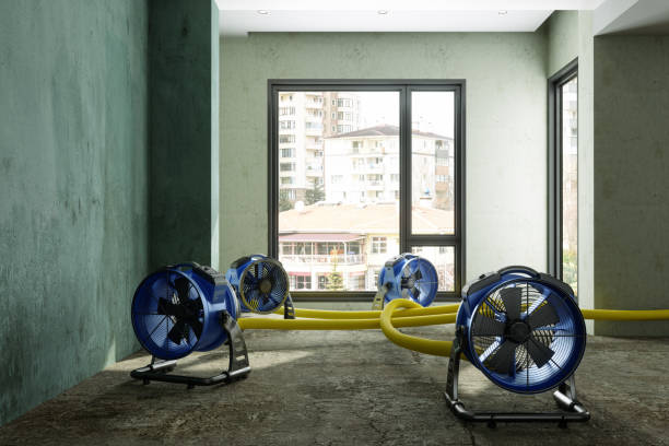 Best Water damage restoration near me  in Robersonville, NC