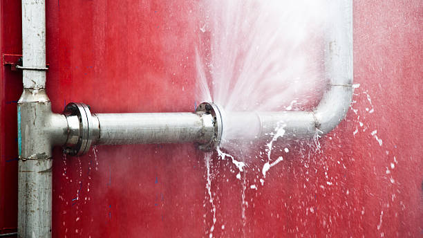 Best Commercial water damage restoration  in Robersonville, NC